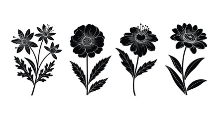 Four detailed flower illustrations isolated on white background