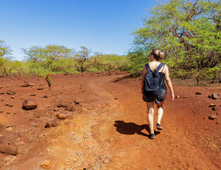 Female Hiker Walking Through a Kiawe Forest to  Dixie Maru Beach, Molokai, Hawaii, USA