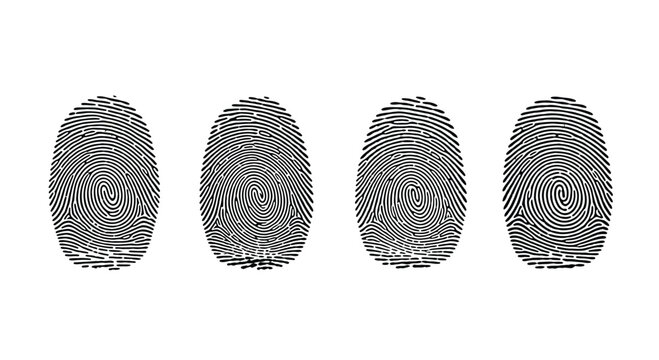 Four fingerprint patterns with unique swirls isolated on white background