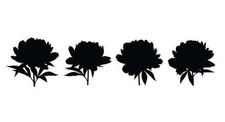 Four peony flower silhouettes isolated on white background
