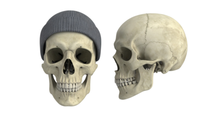 Skull in Beanie Pair, isolated on transparent background