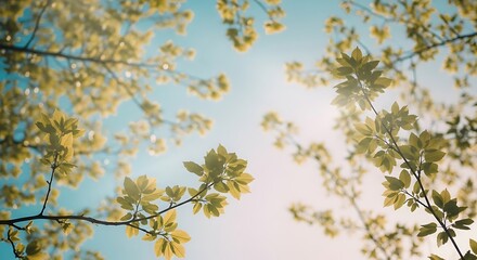 Randomly scattered branches in springtime, light-green leaves, gentle pastel blue and pink sky, natural light with soft rays