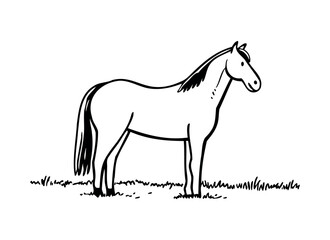 Minimalist Line Art Horse Vector Illustration: Simple Black Outline Drawing, Elegant Equine Silhouette Logo Design