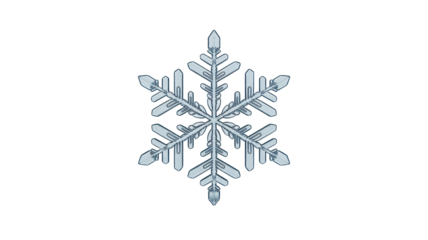 Intricate snowflake crystal detail against black, perfect for winter designs, holiday greetings, and seasonal advertising, conveying a sense of delicate beauty