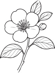 Vector floral background with Quince flower, detailed flower coloring pages printable, Quince flower line art, creative flower drawings, Quince flower doodle tattoo for arms