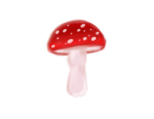 fly agaric mushroom