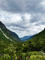 Naklejka premium Scenic mountain valley in Zakopane Poland with lush green forests and dramatic cloudy skies