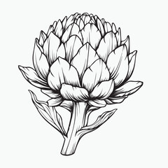 vector illustration of lotus flower