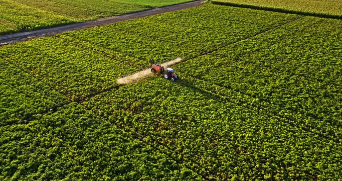 Tractor spraying potato crop with agricultural sprayer
