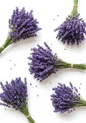 Five Bunches of Fresh Lavender on White Surface.