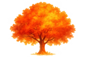 Autumn tree with vibrant orange foliage, watercolor painting, beautiful fall nature art, isolated on transparent background