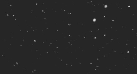 Photorealistic snow particles texture with bokeh and motion blur isolated on black background