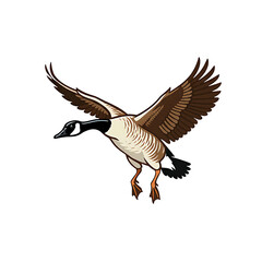 Illustration of a flying Canada goose with outstretched wings