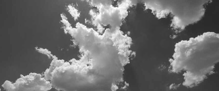 Dramatic soft fluffy clouds in sky background banner in black and white.