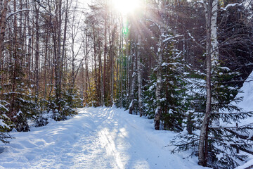 Lapland. Magical northern land