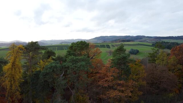 Drohnenflug &uuml;ber herbstliche Mittelgebirgslandschaft in Nordhessen &ndash; Aufstieg &uuml;ber Baumreihe mit Blick auf Felder, Wege, Berge und D&ouml;rfer im warmen Abendlicht