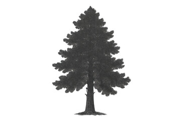 Fototapeta premium Dark silhouette of a pine tree illustration with evergreen needles and a thick trunk against a transparent background