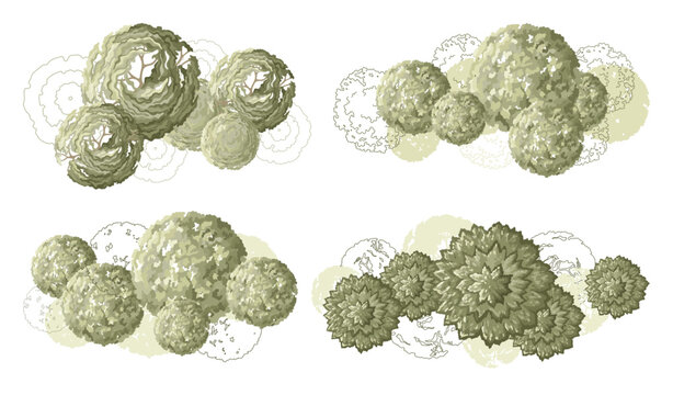 Top view trees for architectural plans and landscape design. Minimal vector illustration for urban planning, site plans, and architectural entourage.