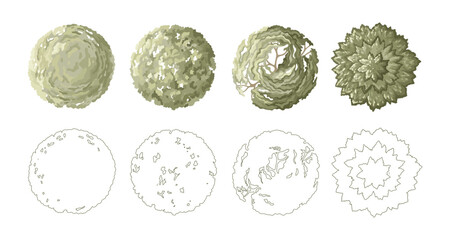 Top view trees for architectural plans and landscape design. Minimal vector illustration for urban planning, site plans, and architectural entourage.