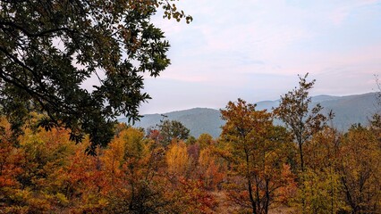 Autumn in the mountains
