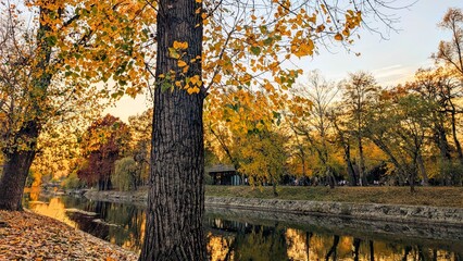 Obraz premium Autumn in the park