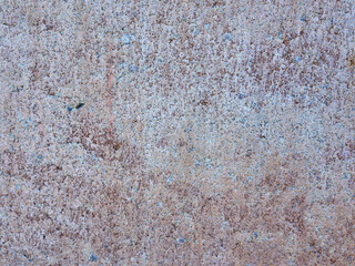 Wide close up moss lined brick pavement with scattered leaves and damp texture