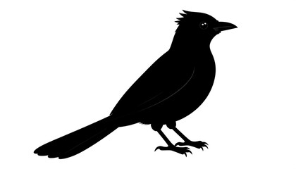 Silhouette of a bird (1)