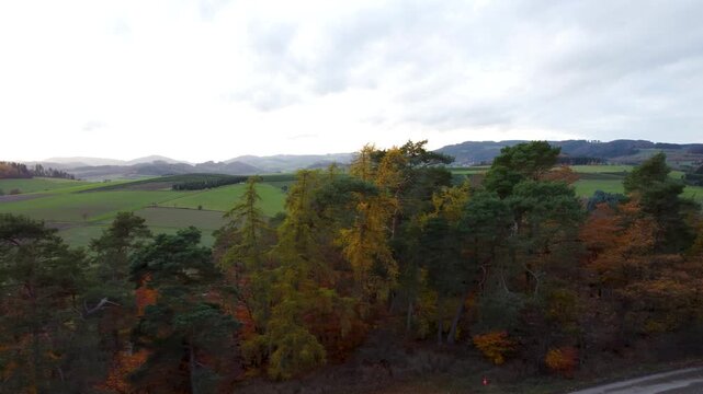 Schotterstra&szlig;e entlang einer Baumreihe in herbstlicher Mittelgebirgslandschaft &ndash; Drohnenflug mit seitlicher Bewegung, Felder und untergehende Sonne im Hintergrund