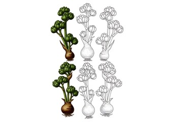 Vintage botanical illustration of two green plants isolated on white background