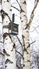 birdhouse on tree