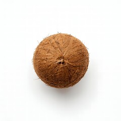 coconut in white background and hard shell
