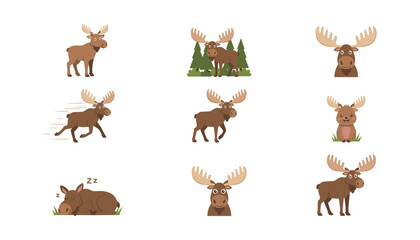 Fototapeta premium Moose Cartoon Illustration Set