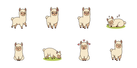 Obraz premium Alpaca cartoon set with different poses and expressions