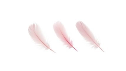 Light pink soft fur png