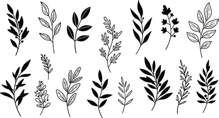 leaf, branch, botanical, plant, foliage, silhouette, nature, floral, vector, cad, drawing, flat, black, decorative, illustration