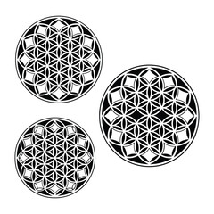 Four geometric mandala circle patterns seamless design