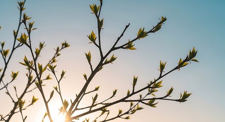 Spring composition of uneven branches with tender leaves, golden hour sunlight, pastel blue-pink sky, dreamy atmosphere, airy and calm, realistic macro photography