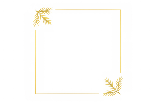 Gold square frame with decorative pine tree branches on transparent background, celebrating christmas and winter holidays
