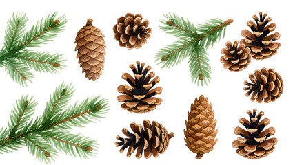 Fototapeta premium Watercolor Christmas illustration of fir branches and pine cones isolated on transparent or white background.