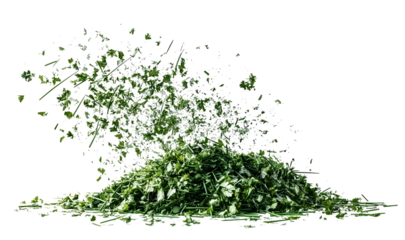 Carved Halloween Pumpkin Held in Hand isolated on a transparent background