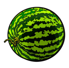 Juicy fresh watermelon vector illustration of a sweet red fruit for summer dessert and healthy snack