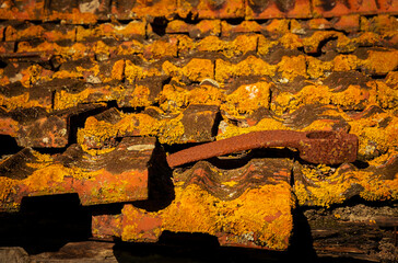 Rusted Roof