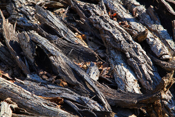 Lumber natural material colored closeup.
