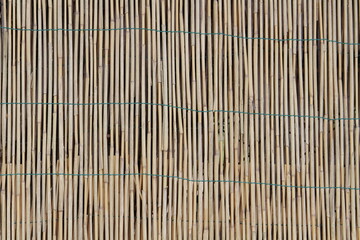 Reed shield brown background decoration.