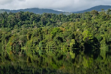 Peaceful tropical forest and lake reflection creating a mirror-like natural scene with distant mountains.