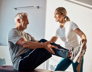 Physiotherapist doing exercise with patient