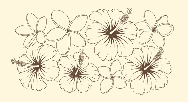 Elegant tropical floral line art composition with frangipani and hibiscus