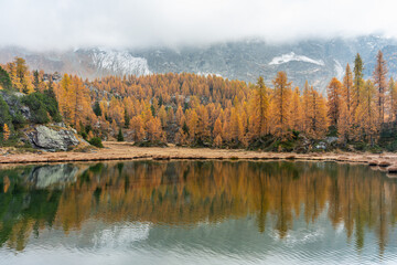 Fototapeta premium Foliage al lago Mufulè in Valmalenco in autunno