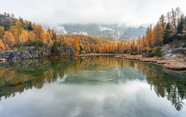 Fototapeta premium Foliage al lago Mufulè in Valmalenco in autunno