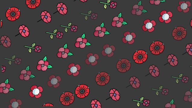 Seamless looping poppy flower pattern on dark gray background. Symbol of remembrance and honor for military veterans and memorial themes.